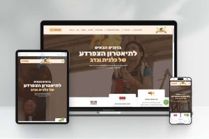 בניית אתר אינטרנט עבור תאטרון הצפרדע