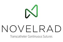 לוגו נובלרד