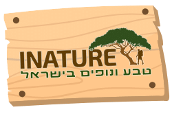 לוגו inature טבע ונופים בישראל