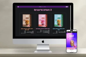 בניית אתר וואן פייג'ר עבור EAST